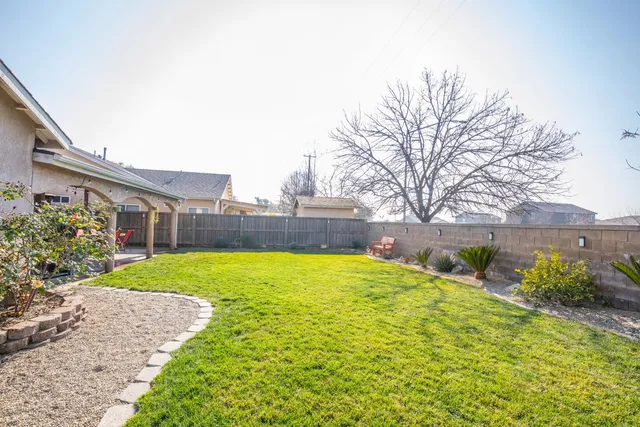 a view of a backyard with plants and a large tree