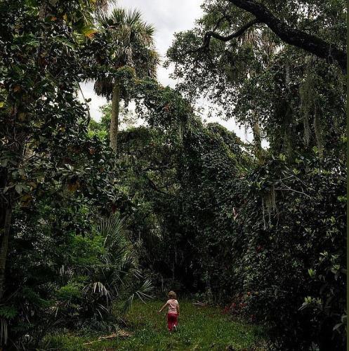 1252 Country Road Port Orange, FL 32129 - Photo 11 of 26