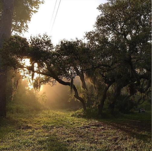 1252 Country Road Port Orange, FL 32129 - Photo 12 of 26