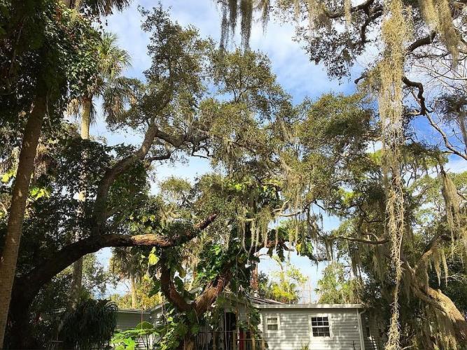 1252 Country Road Port Orange, FL 32129 - Photo 14 of 26