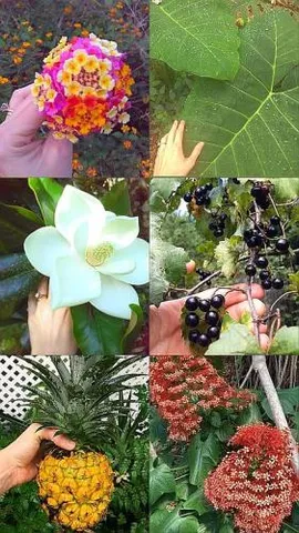 $450,000 | 1252 Country Road, Port Orange, FL 32129