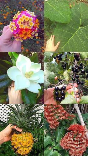 1252 Country Road Port Orange, FL 32129 - Photo 17 of 26