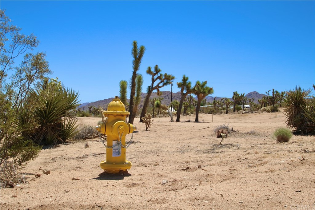 6759 Saddleback Road Joshua Tree, CA 92252 - Photo 1 of 1 a view of outdoor space with trees