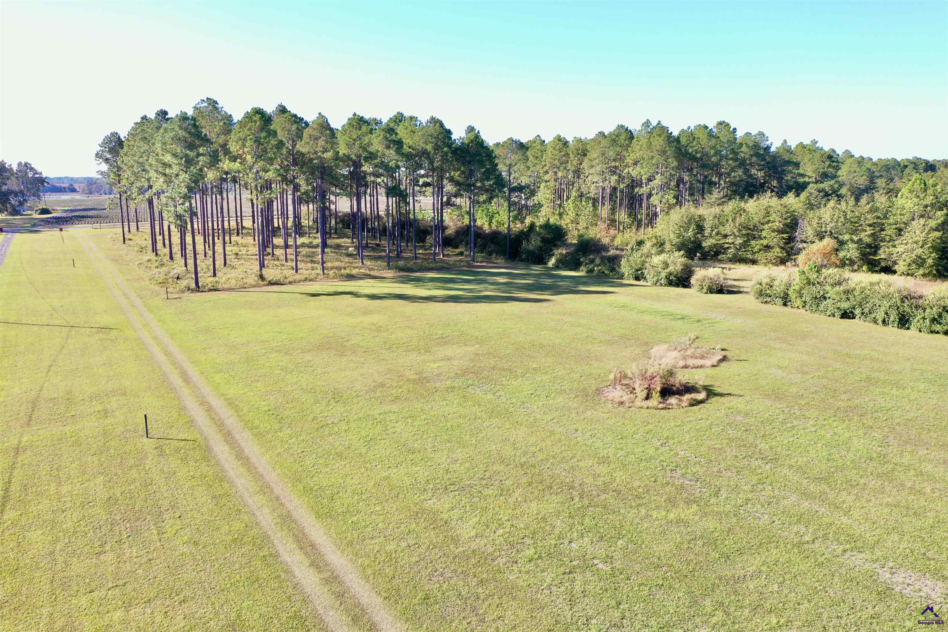 895 Isabella Terrell Road Poulan, GA 31781 - Photo 63 of 65 Gallery Image 63