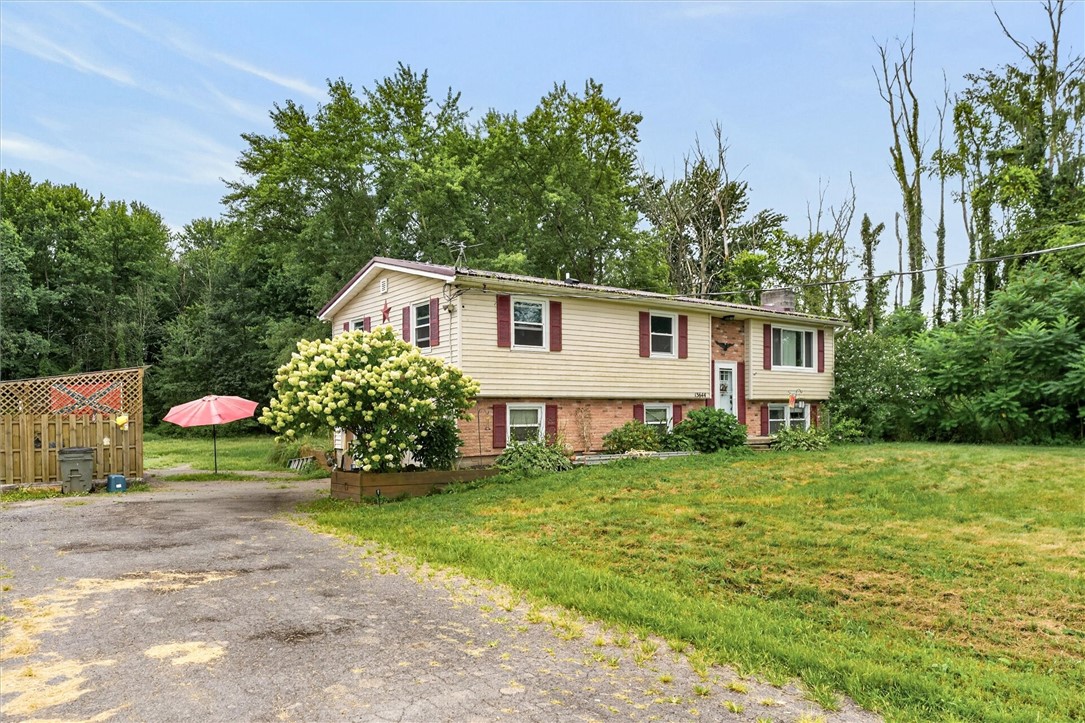 13644 Savannah Spring Lake Road Savannah, NY 13146 - Photo 3 of 38 Gallery Image 3