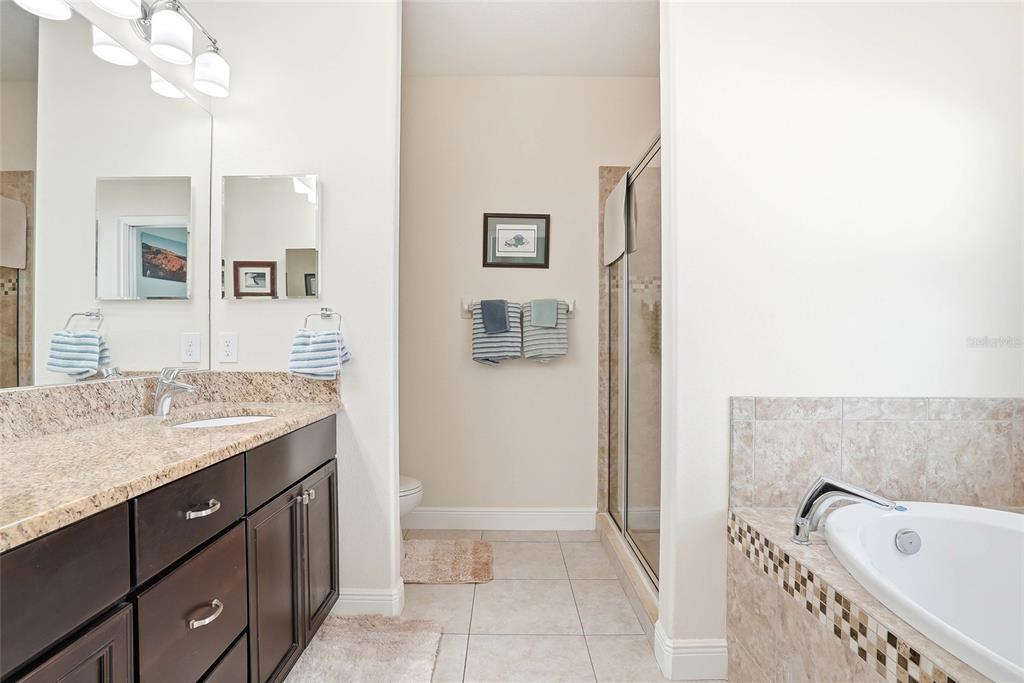 2906 West Douglas Street Tampa, FL 33607 - Photo 18 of 36 a bathroom with a granite countertop sink a mirror and a bathtub