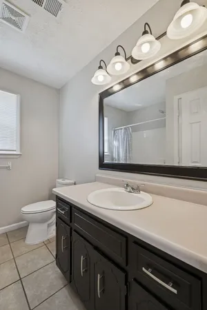 a bathroom with a sink a toilet and a mirror