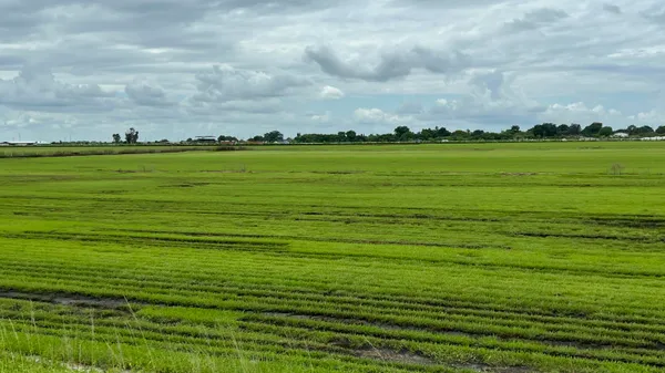 $16,000,000 | 400 Highway 80, Belle Glade, FL 33430