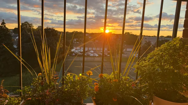 a view of outdoor space