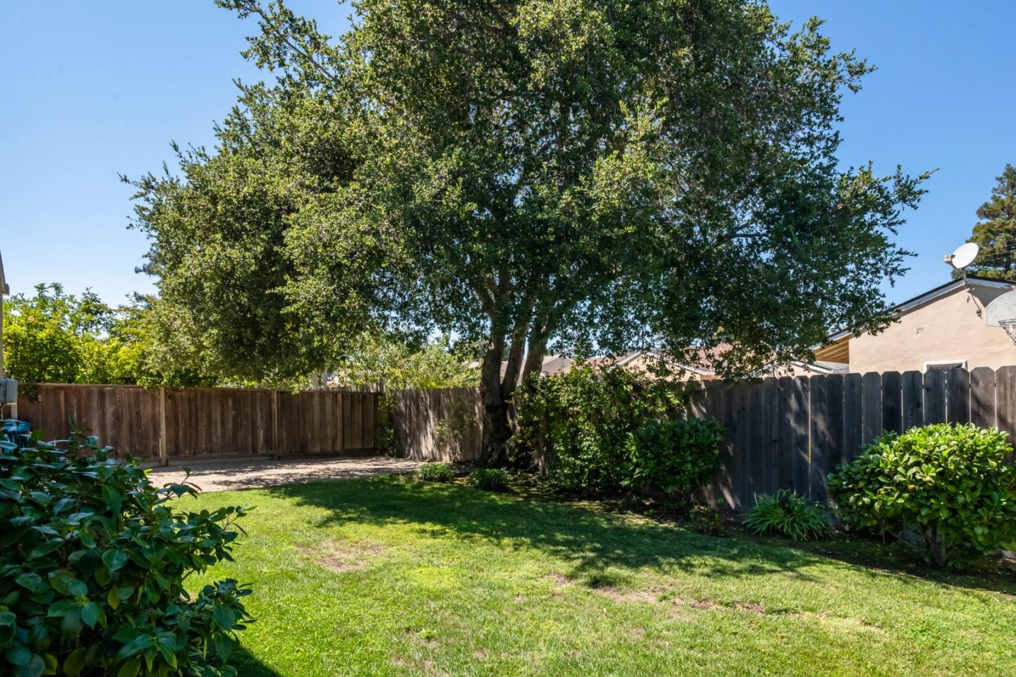 540 Sylvan Avenue San Mateo, CA 94403 - Photo 22 of 23 a view of a backyard with large trees and plants