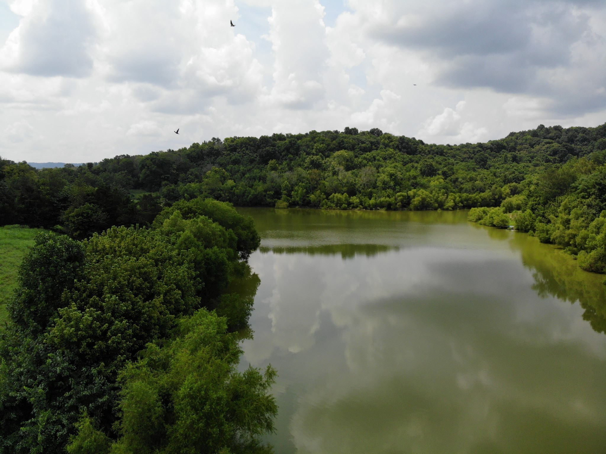 2 Old Lake Road Lewisburg, TN 37091 - Photo 11 of 15 Gallery Image 11