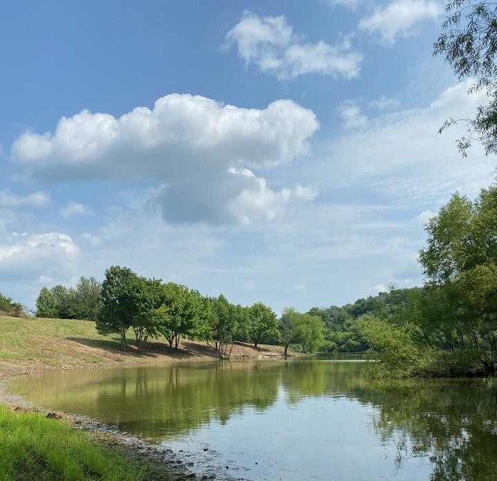 2 Old Lake Road Lewisburg, TN 37091 - Photo 2 of 15 Gallery Image 2