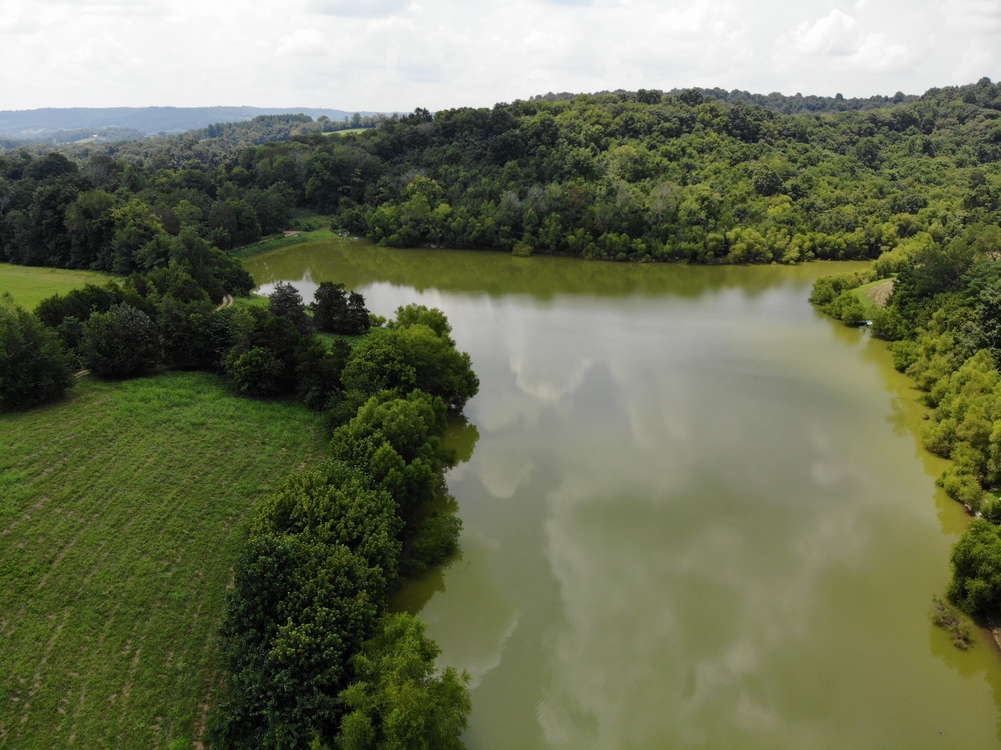 2 Old Lake Road Lewisburg, TN 37091 - Photo 9 of 15 Gallery Image 9