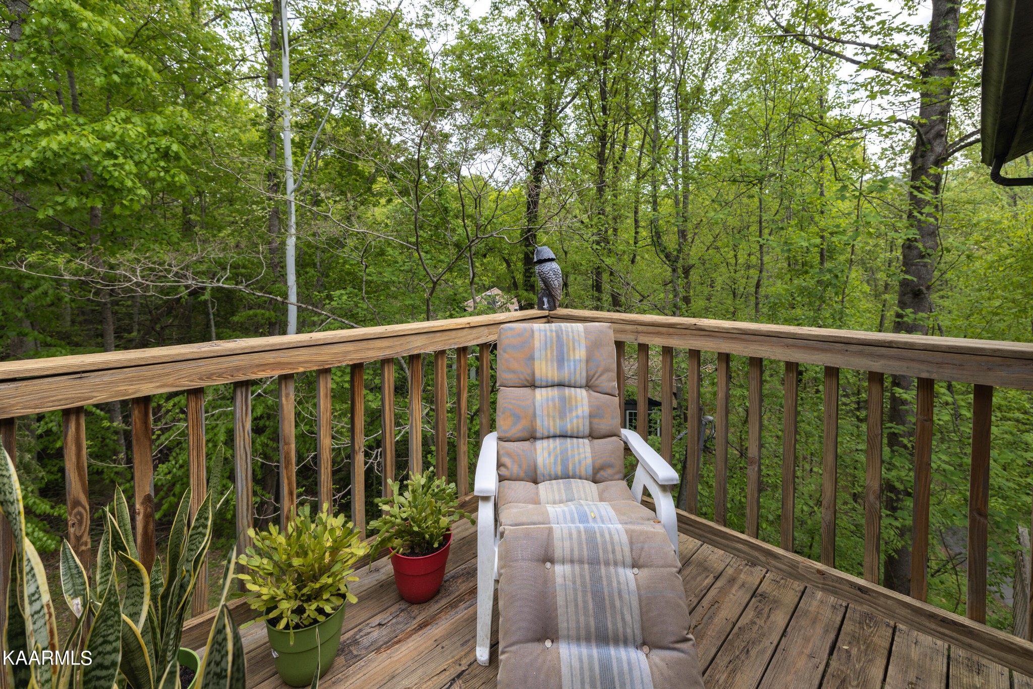 743 Ridge Road Gatlinburg, TN 37738 - Photo 32 of 42 Gallery Image 32