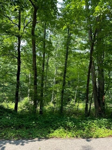 100 River Road Decatur, TN 37322 - Photo 1 of 11 Gallery Image 1