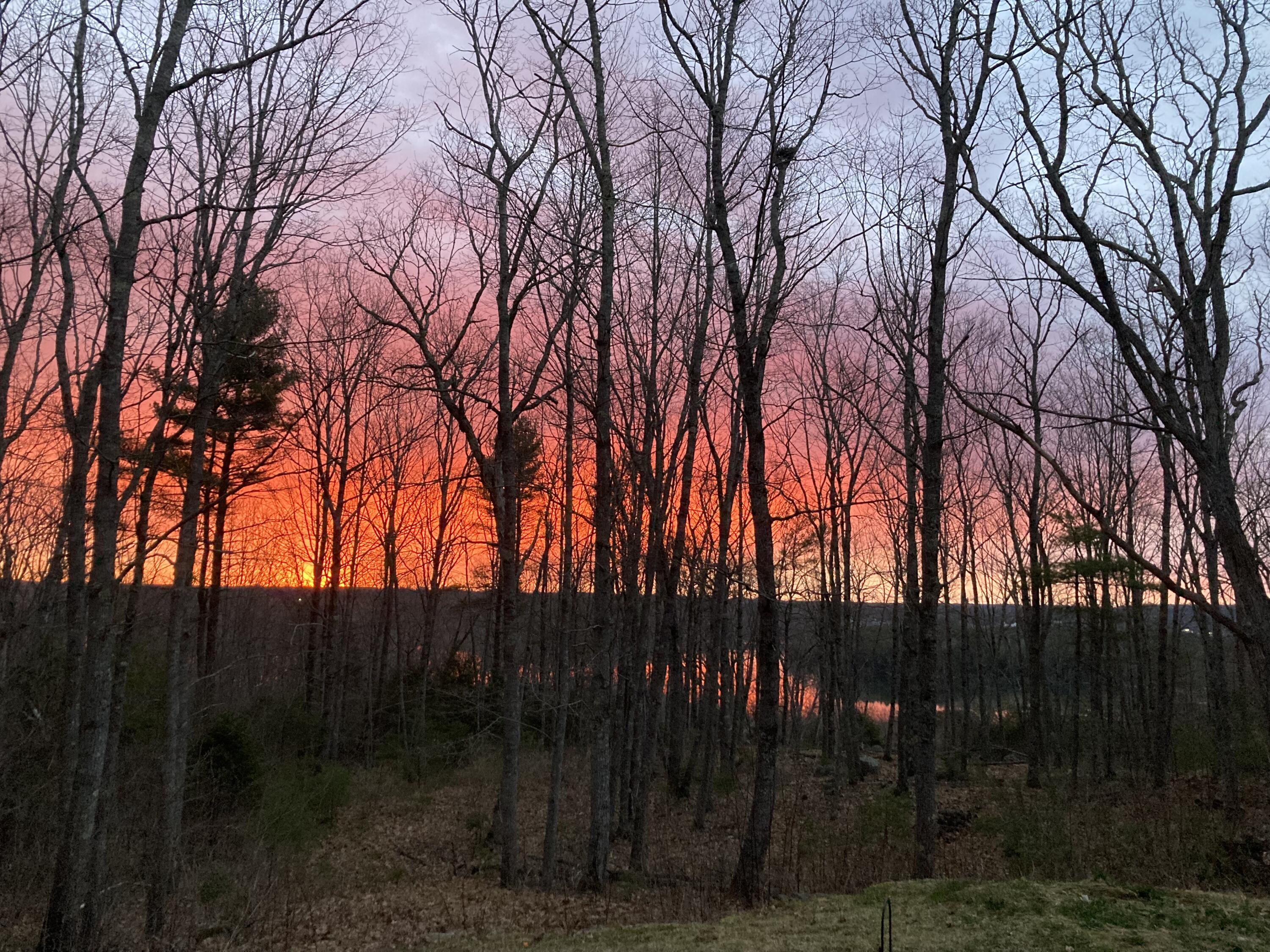 225 Academy Hill Road Newcastle, ME 04553 - Photo 31 of 33 IMG_6046