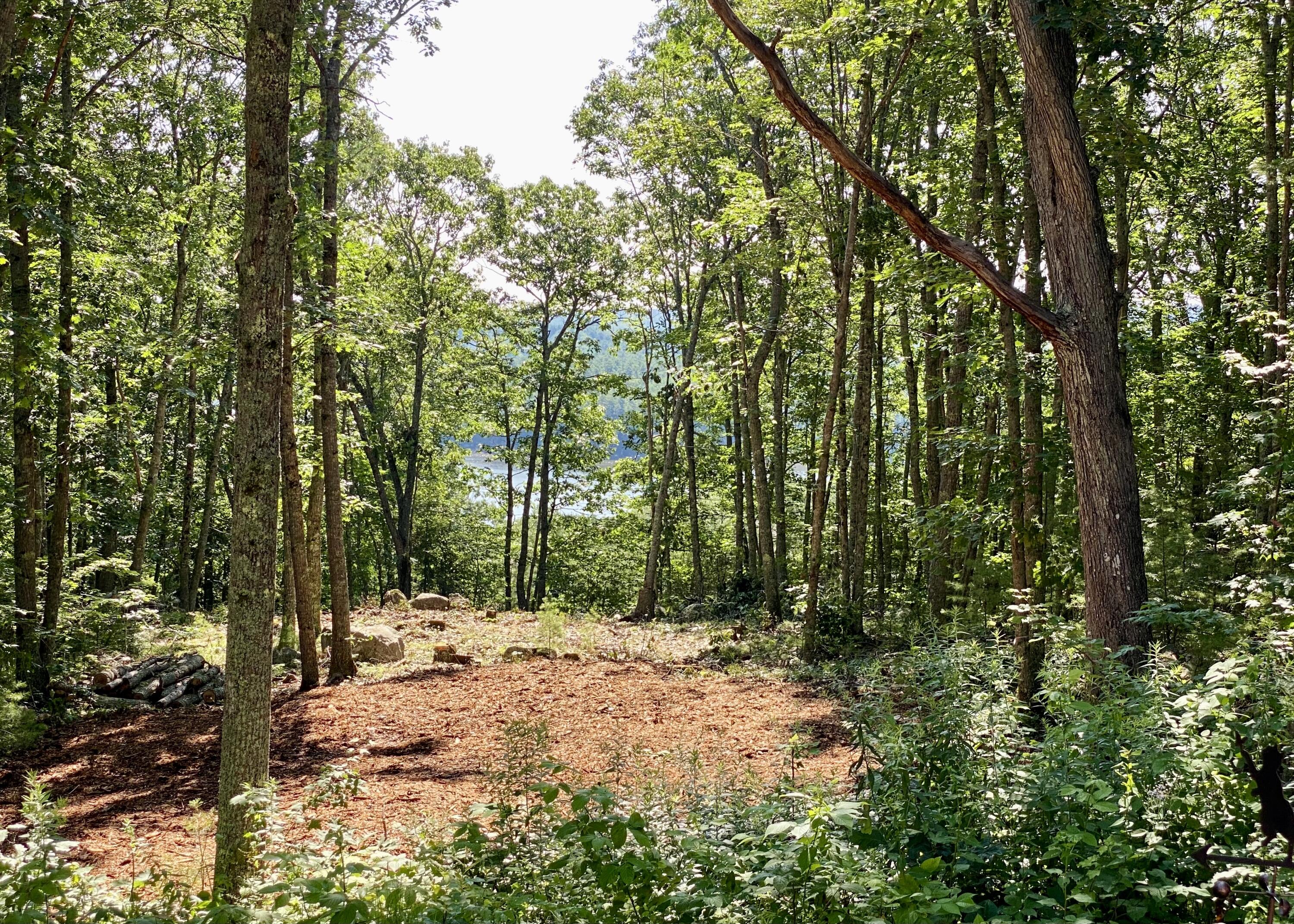 225 Academy Hill Road Newcastle, ME 04553 - Photo 32 of 33 IMG_4917