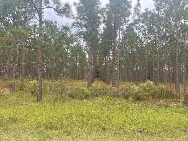 $1,950 | 30823 Satinleaf Run, Brooksville, FL 34602