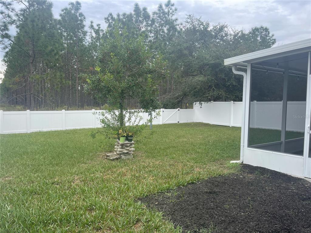 30823 Satinleaf Run Brooksville, FL 34602 - Photo 30 of 31