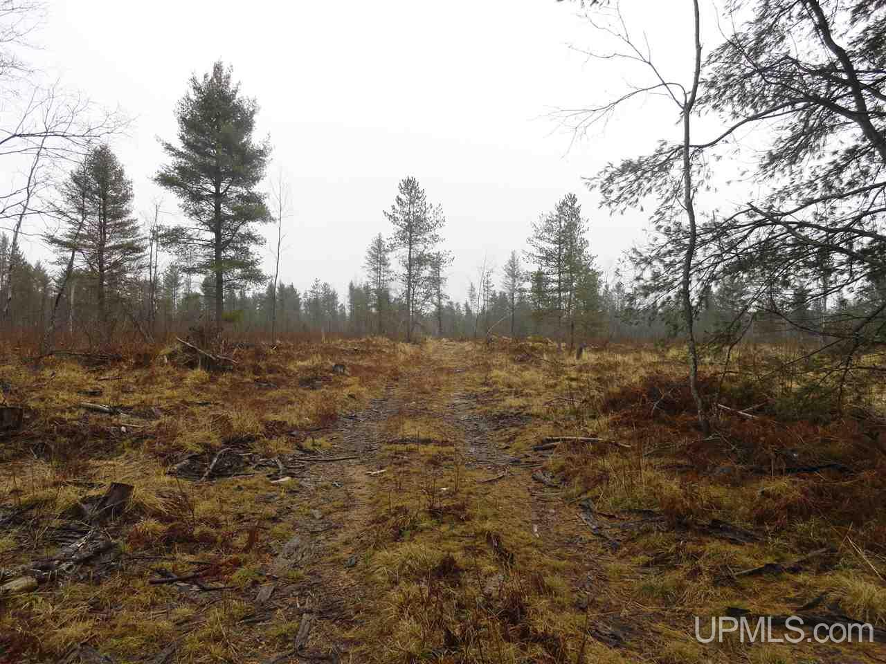 36-acres Off Flodin Road Manistique, MI 49854 - Photo 6 of 13