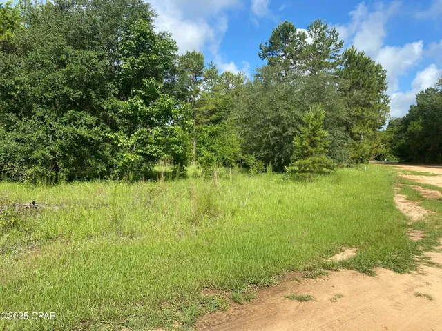 $47,000 | 0 Oak Drive, Unit 35, Marianna, FL 32446