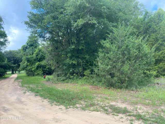 $47,000 | 0 Oak Drive, Unit 35, Marianna, FL 32446