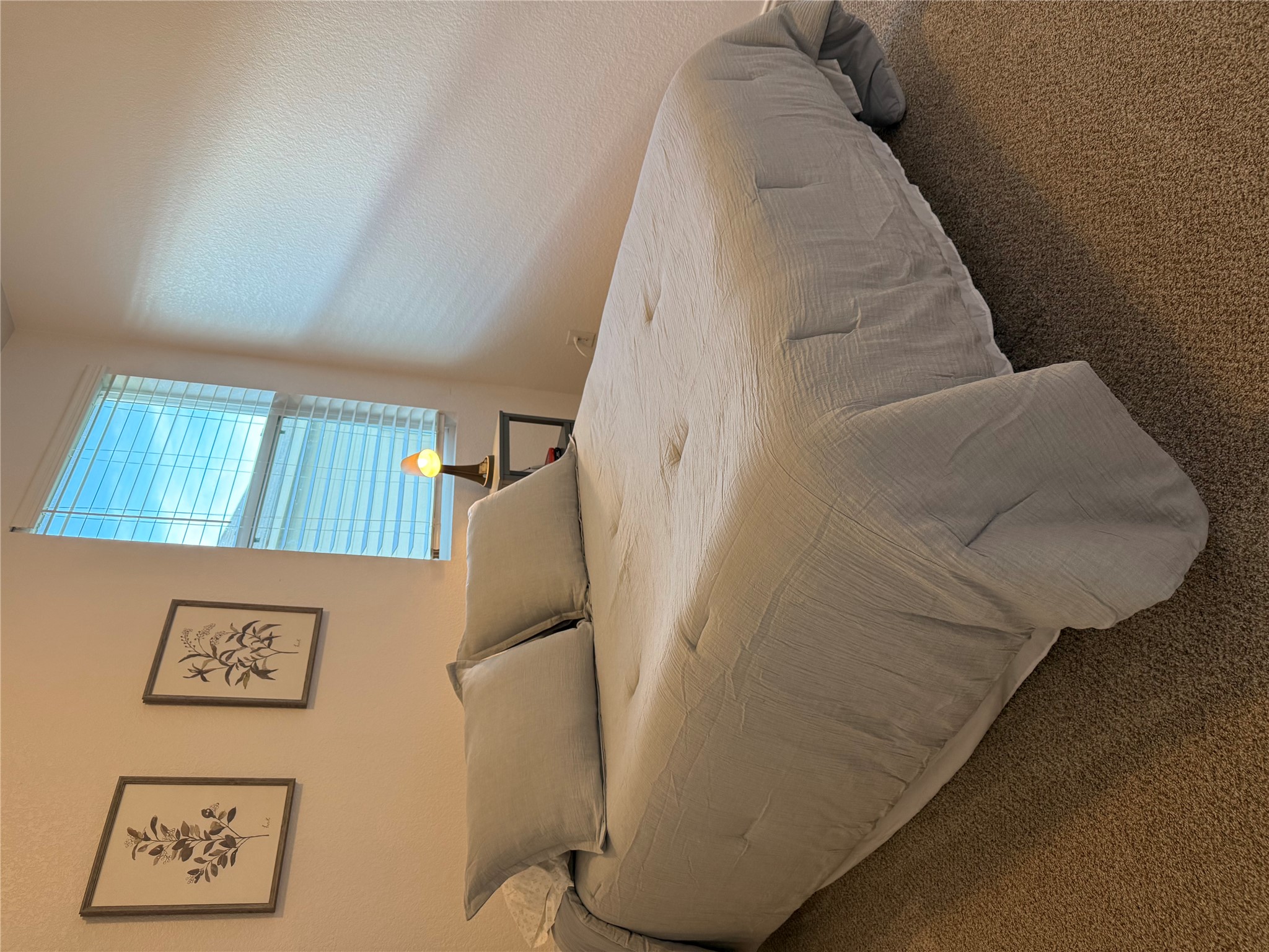 14907 Retha Pass Austin, TX 78725 - Photo 18 of 22 A well-lit bedroom features plush carpeting and abundant natural light from a broad window.