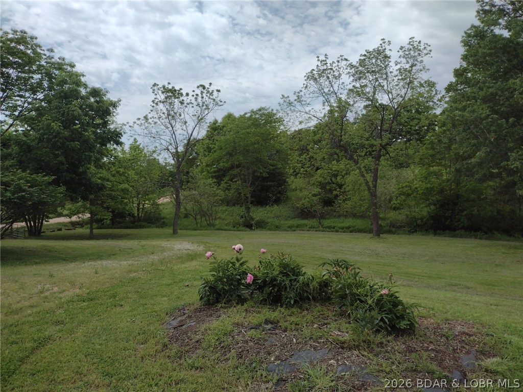 33092 Lake Trail Road Gravois Mills, MO 65037 - Photo 20 of 30