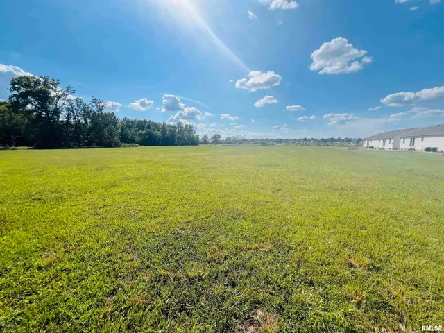 $55,000 | 0 Water Street, Harrisburg, IL 62946