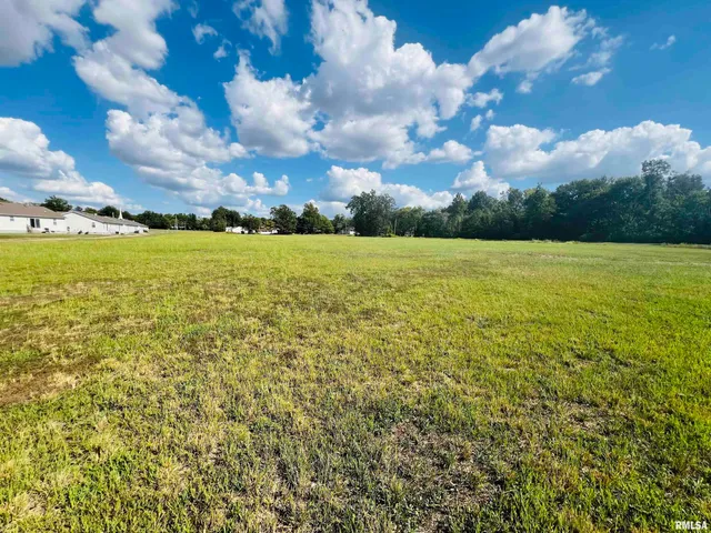 $55,000 | 0 Water Street, Harrisburg, IL 62946