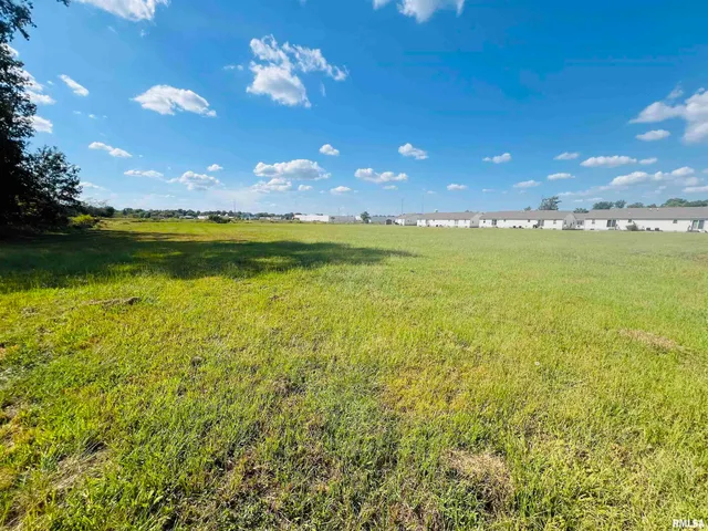 $55,000 | 0 Water Street, Harrisburg, IL 62946