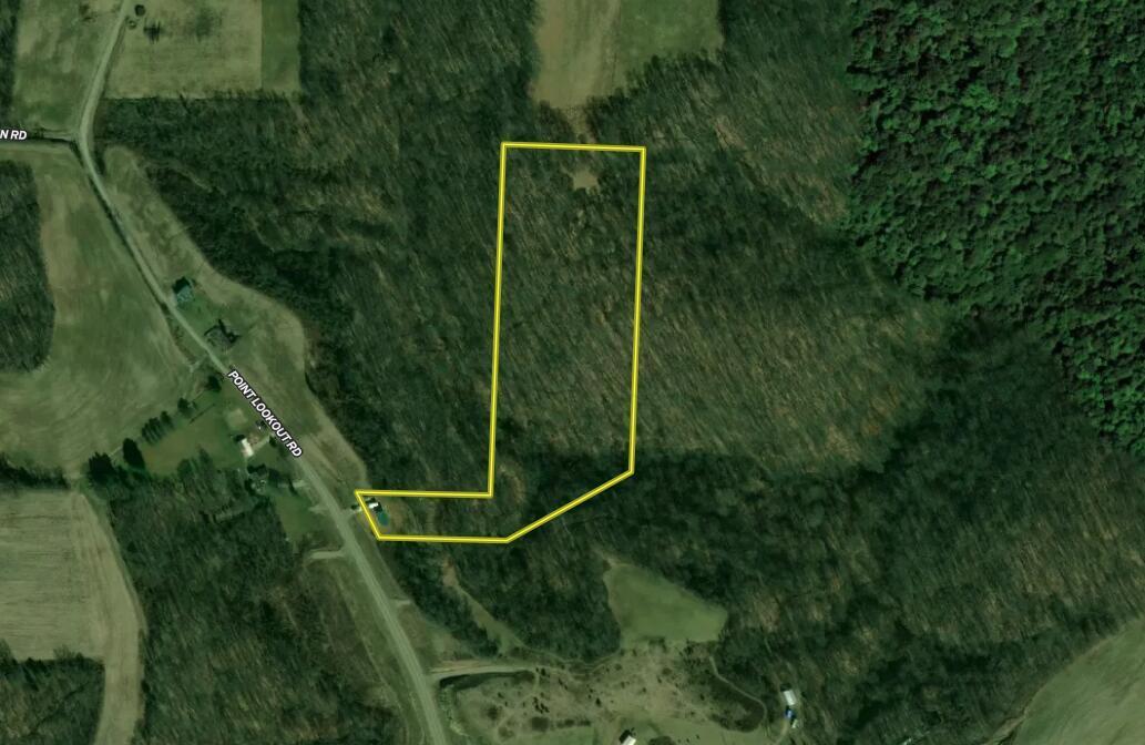 3540 Point Lookout Road Stockport, OH 43787 - Photo 38 of 40 Screenshot 2023-05-12 at 3.10.10 PM