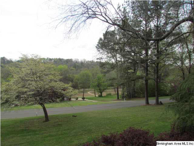 108 Mack Roper Road Trussville, AL 35173 - Photo 28 of 29