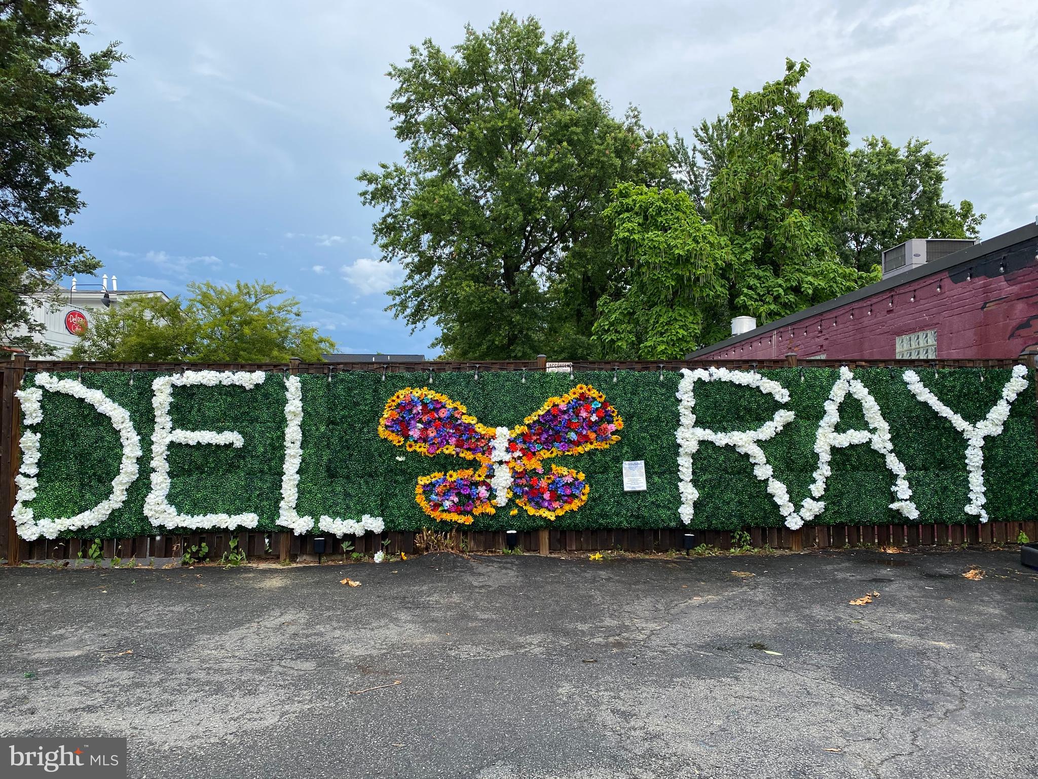 202 East Spring Street Alexandria, VA 22301 - Photo 25 of 45 a view of outdoor space with garden