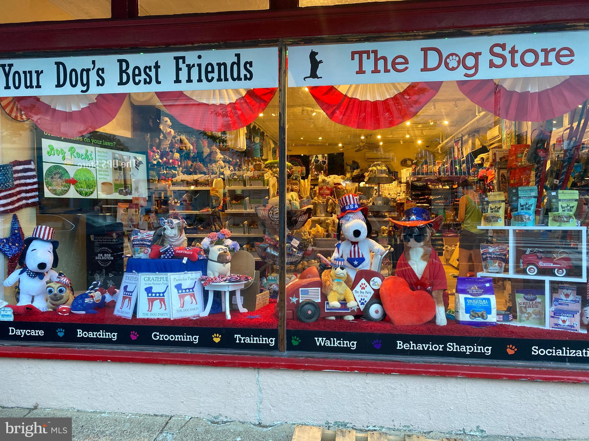 202 East Spring Street Alexandria, VA 22301 - Photo 29 of 45 a view of city