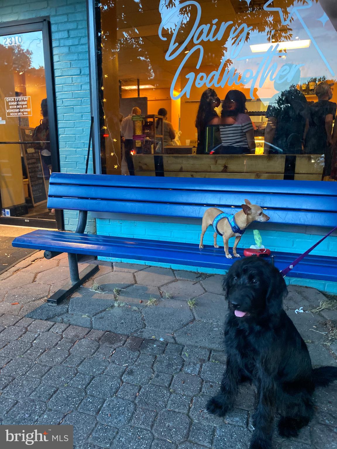 202 East Spring Street Alexandria, VA 22301 - Photo 43 of 45 a view of a yard with large tree