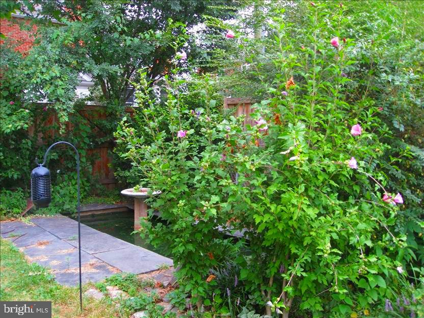 202 East Spring Street Alexandria, VA 22301 - Photo 8 of 45 a view of yard from deck having patio