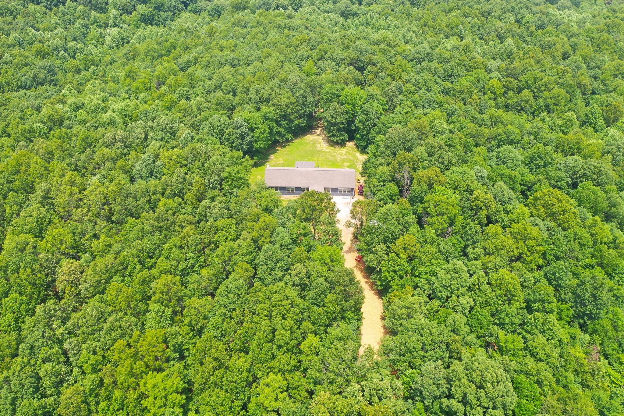 212 Skyline Ridge Dover, TN 37058 - Photo 22 of 41 a plant that is sitting in a forest