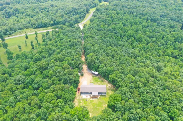 a view of a large yard with large trees and plants