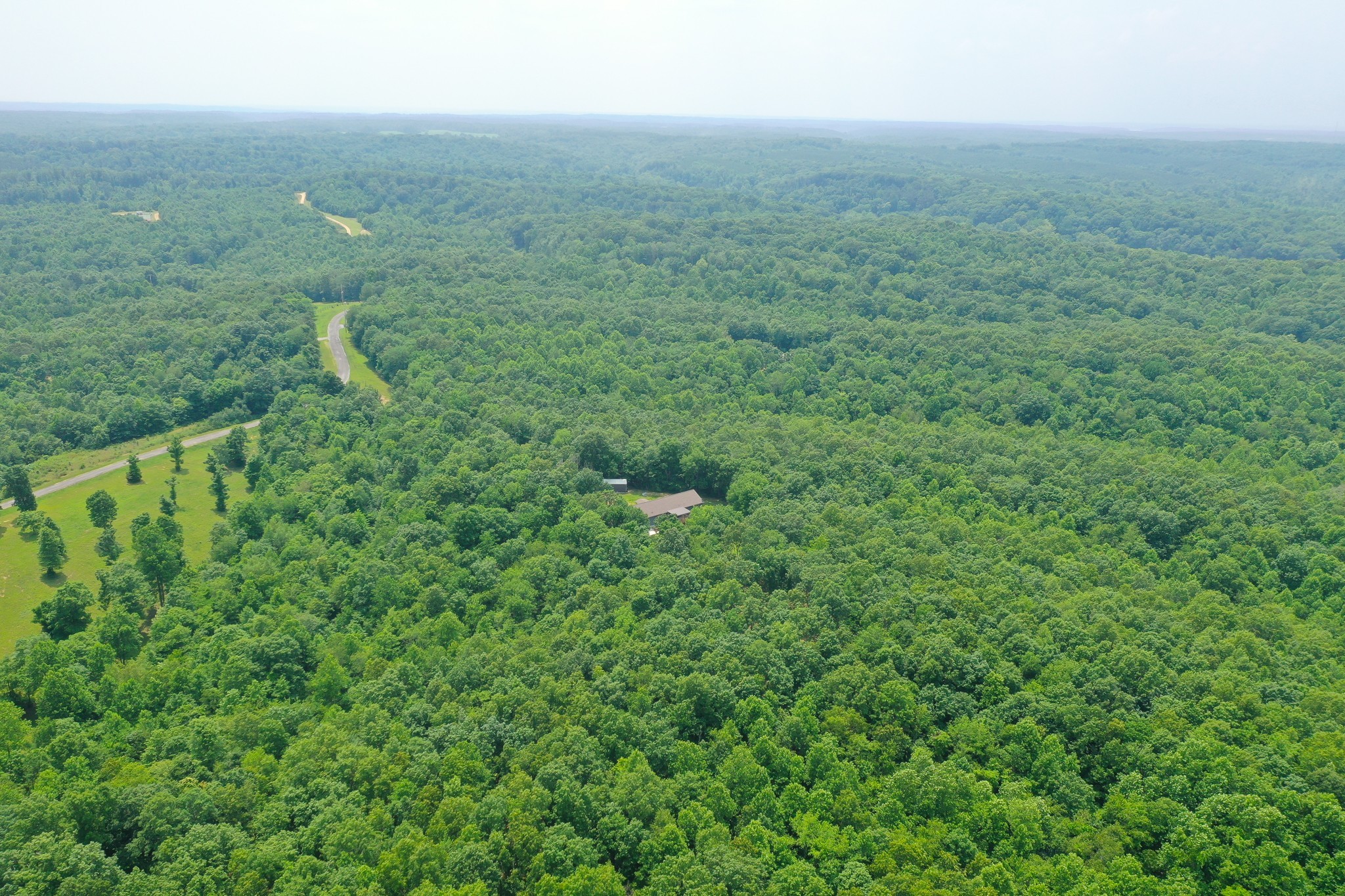 212 Skyline Ridge Dover, TN 37058 - Photo 8 of 41 a view of a big yard with plants and large trees