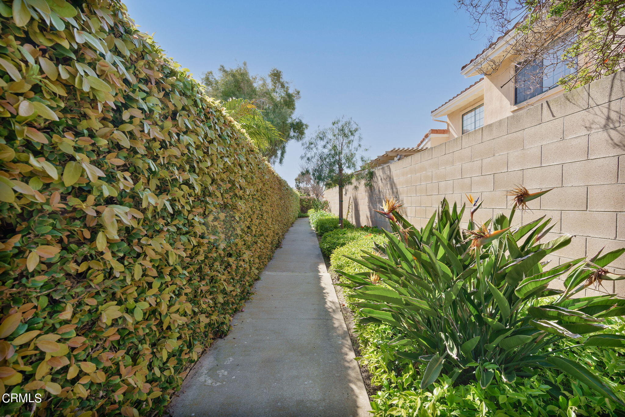 2940 Fanshell Walk Oxnard, CA 93035 - Photo 39 of 40 a view of a pathway with a building