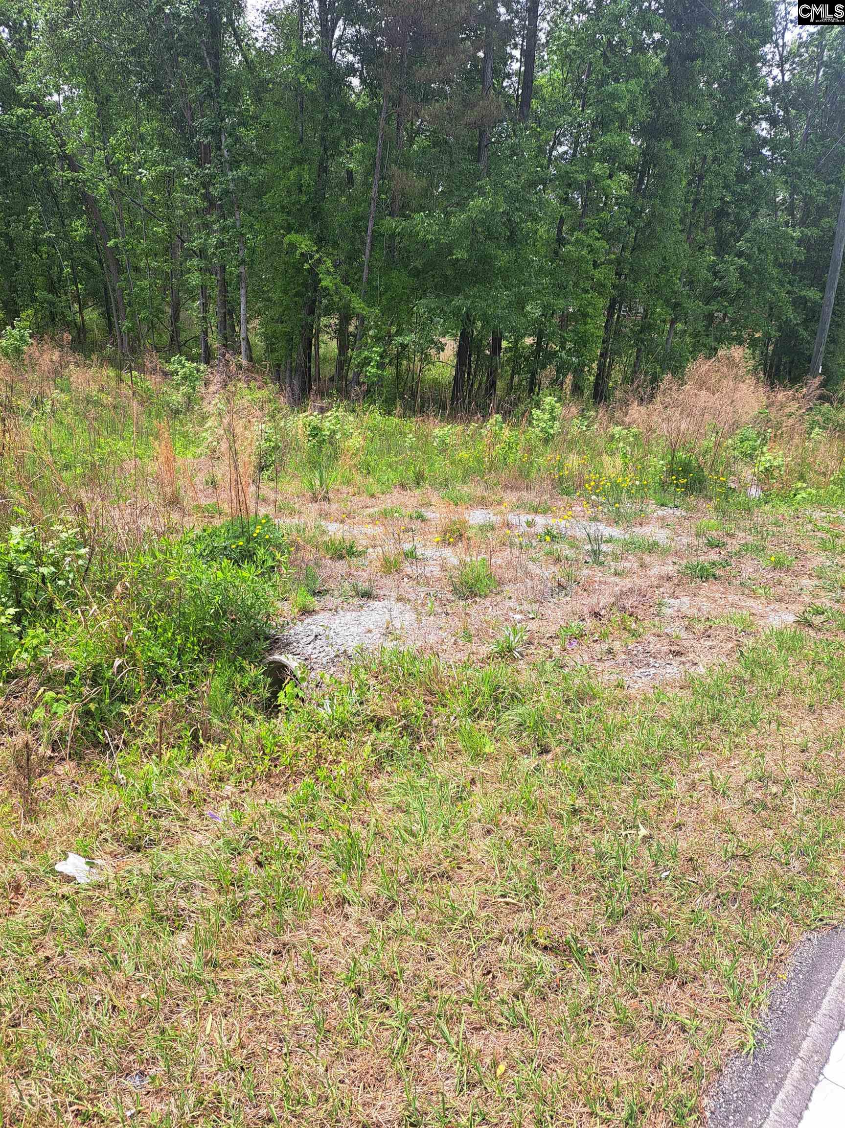 460 Grover Wilson Road Blythewood, SC 29016 - Photo 15 of 19