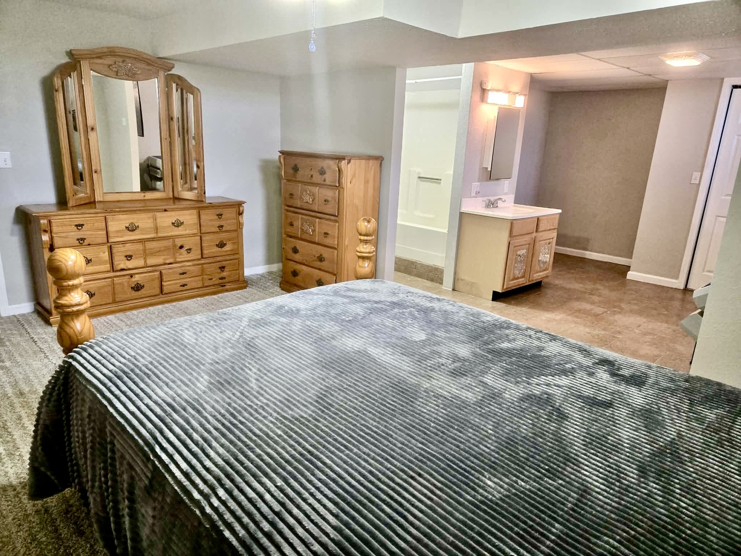 5488 Tick Ridge Road Grand Chain, IL 62941 - Photo 26 of 38 Gallery Image 26