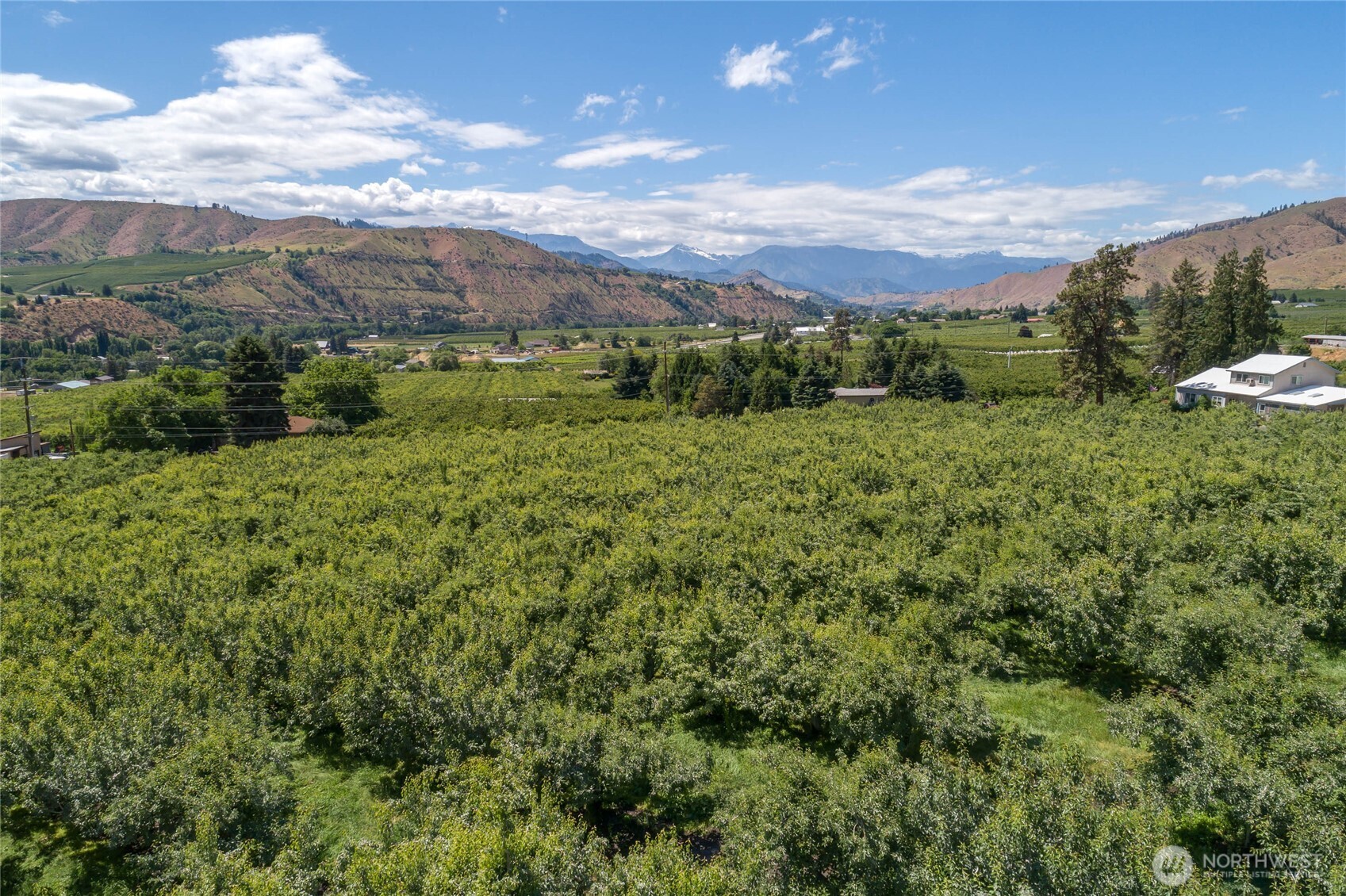 0 Red Apple Road Cashmere, WA 98815 - Photo 12 of 38 a view of a lush green hillside and houses