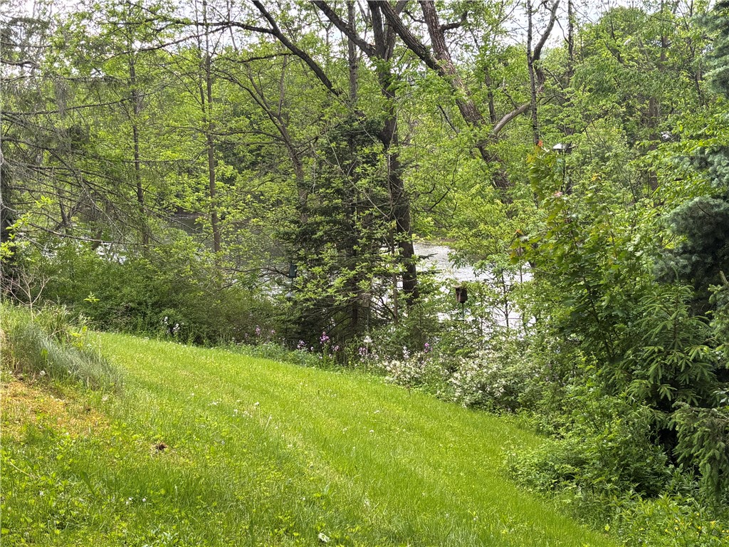 473 County Highway Oneonta, NY 13820 - Photo 30 of 45 River views