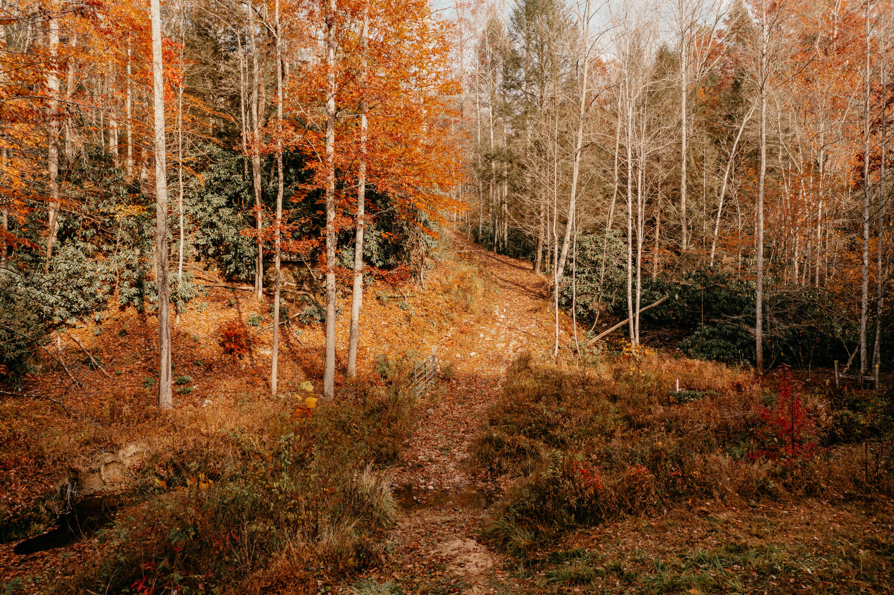 514 Adams Road Pine Ridge, KY 41360 - Photo 2 of 51 DJI_0032