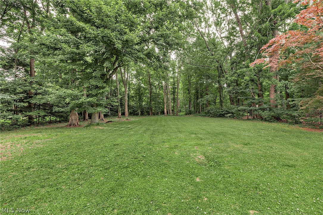 5339 East Heisley Road Mentor, OH 44060 - Photo 23 of 24 Backyard rimmed by trees offers precious privacy on 1.24 acres.