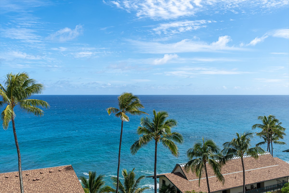 1763 Pe'e Road, Unit 504 Koloa, HI 96756 - Photo 3 of 8