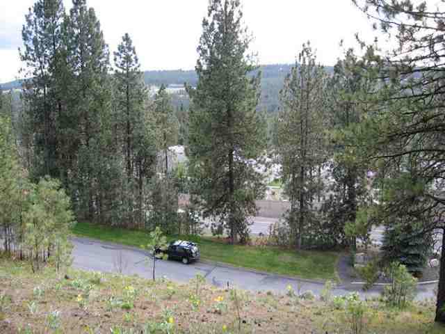 0 South Hatch Road Spokane, WA 99223 - Photo 1 of 9
