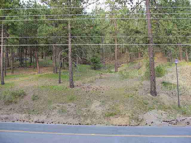 0 South Hatch Road Spokane, WA 99223 - Photo 2 of 9